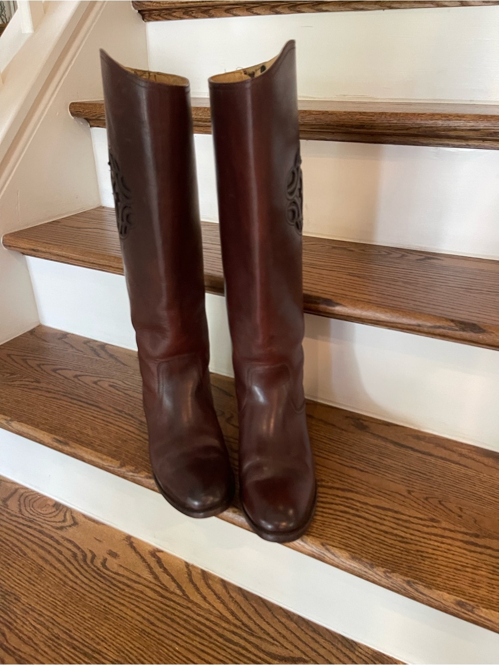 Frye Tall Leather riding Boots in Dark Brown